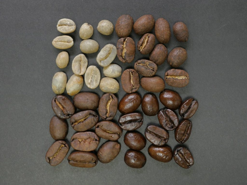 Light vs Dark Roast Coffee: Chlorogenic Acid & Floral Aroma in 2026