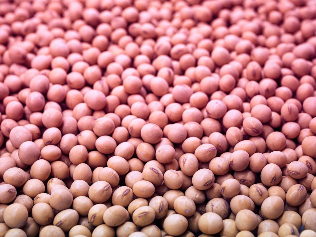 Best Clean Mayos (No Refined Oils) 2026: Top Picks!